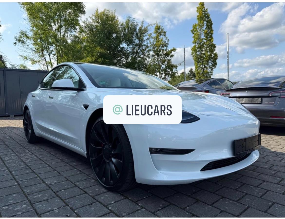 Tesla Model 3 Performance | ins. white | Ryzen