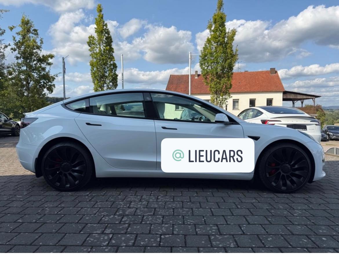 Tesla Model 3 Performance | ins. white | Ryzen – Image 12