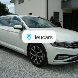Volkswagen Passat Variant Business TDI DSG IQ-Matrix